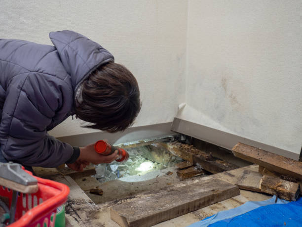 Best Real Estate Mold Inspection  in Cimarron Hills, CO