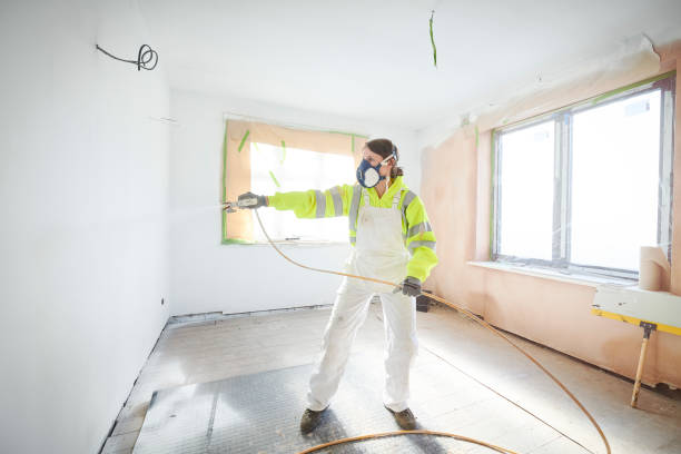 Best Mold Odor Removal Services  in Cimarron Hills, CO