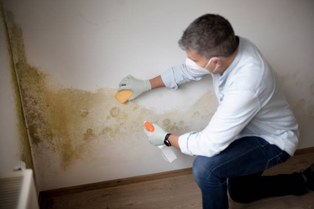 Dehumidification Services in Cimarron Hills, CO