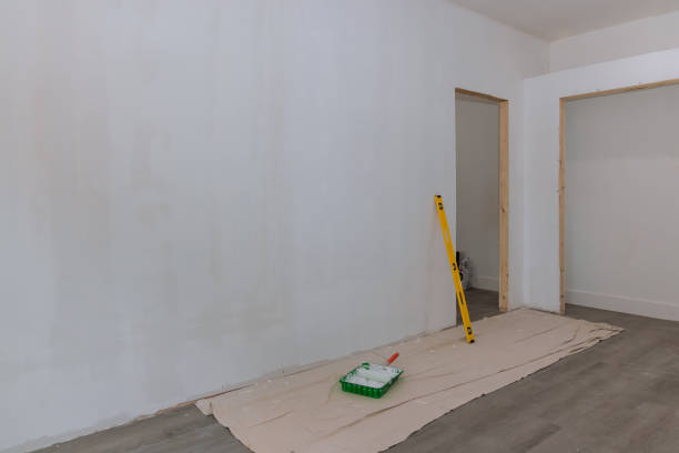 Mold Documentation for Insurance Claims in Cimarron Hills, CO