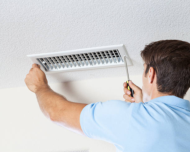 Reliable Cimarron Hills, CO Mold Removal Solutions