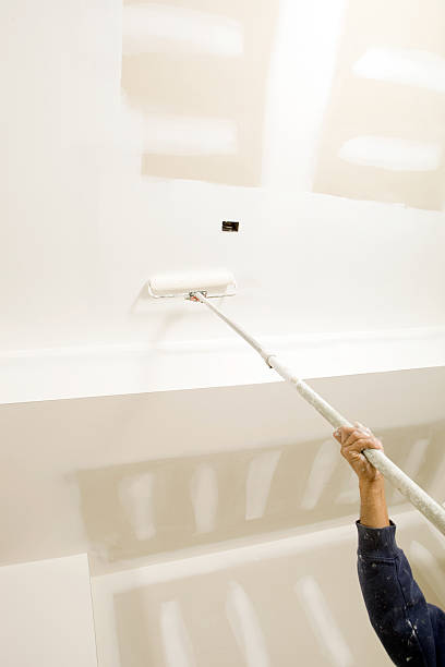 Reliable Cimarron Hills, CO Mold Removal Solutions